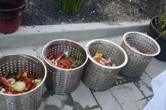 Lobster boil by our customer Lori. C