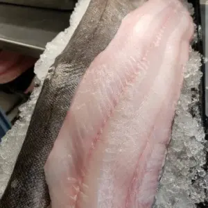 Blackcod