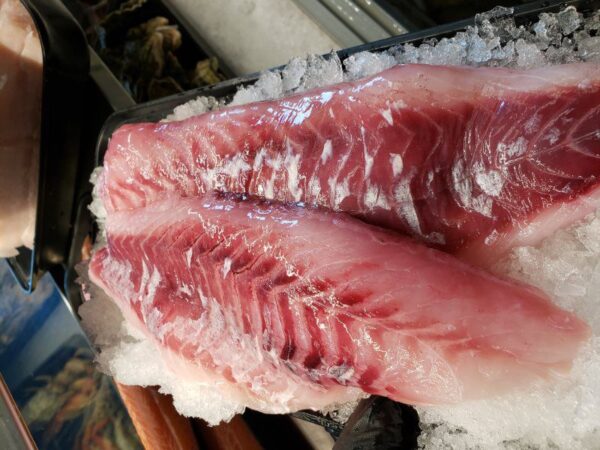 Rock Fish (Snapper) - Image 2