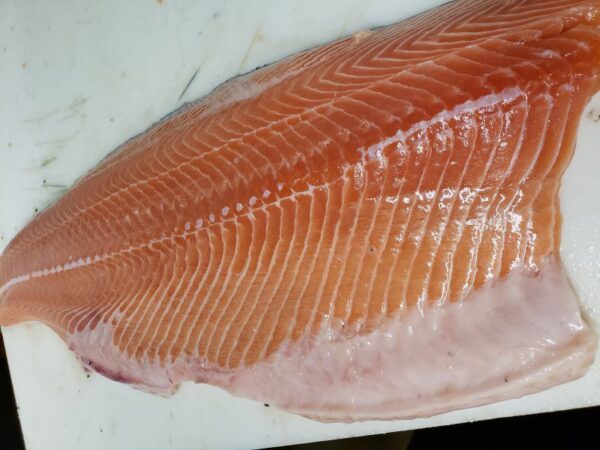 Atlantic Salmon Fillet