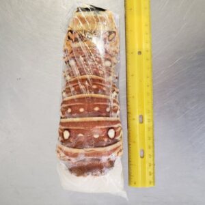 Honduras Lobster Tails