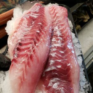 Rock Fish (Snapper)